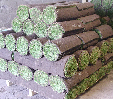 Sporto, per vierkante meter (250cm lang x 40cm breed)