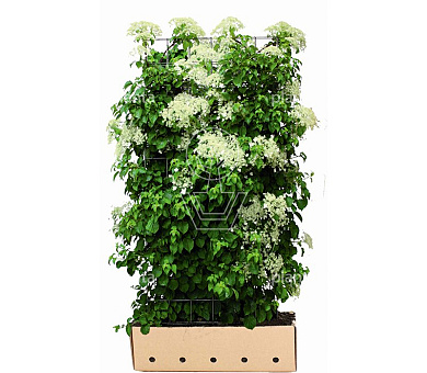 Quick Hedge Haagelement 100cm lang x 180cm hoog