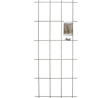 HxB 145x57cm