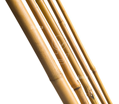 diameter 22-24mm, 270cm lang