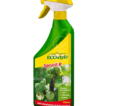 Ecostyle Spruzit-R