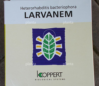 Koppert Larvanem