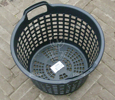 Vijvermand Rond
