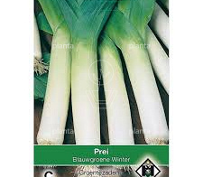 Prei Blauwgroene Winter