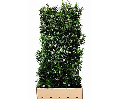 Quick Hedge Haagelement 100cm lang x 180cm hoog