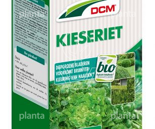 DCM Kieseriet