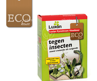 Luxan Pyrethrum