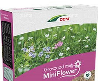 DCM graszaad met bloemzaad