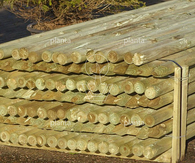 Ø60mm x 2500mm    