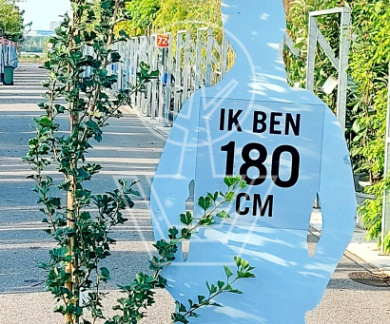 200-250, C20        