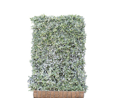 Mobilane kant en klaar haag, LxH 120x180cm, cocopeat 'pot'