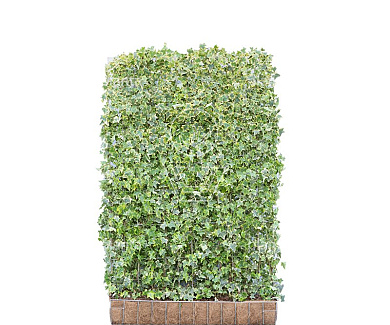 Mobilane kant en klaar haag, LxH 120x180cm, cocopeat 'pot'