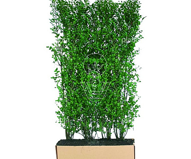 Quick Hedge Haagelement 100cm lang x 200cm hoog