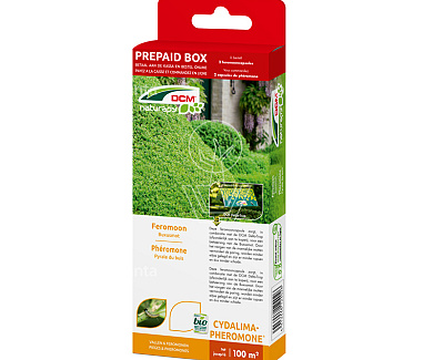 DCM Naturapy Cydalima-Pheromone