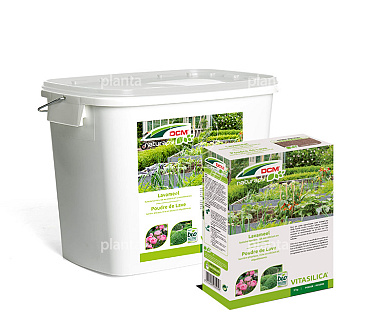 DCM Naturapy Vitasilica