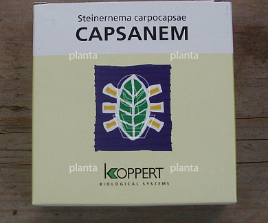 Koppert Capsanem