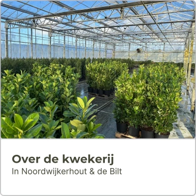 Planta is het Groencentrum voor particulier en hovenier