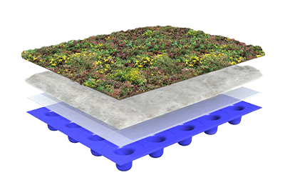 systeemopbouw lichtgewicht groendak sempergreen