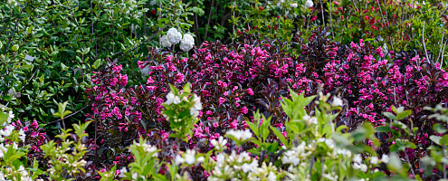 0365 lilian fotografie planta de bilt fotoshoot 20220513