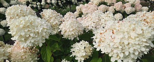 whatsapp image 2023 09 26 at 13.09.28