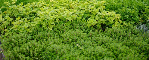 0700 lilian fotografie planta de bilt fotoshoot 20220513