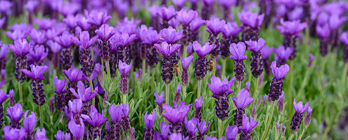 0704 lilian fotografie planta de bilt fotoshoot 20220513