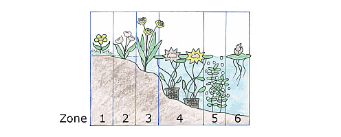 waterplantenzones3
