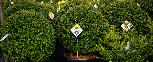 0217 lilian fotografie planta de bilt fotoshoot 20220513