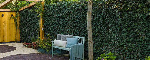 private garden amsterdam (1)