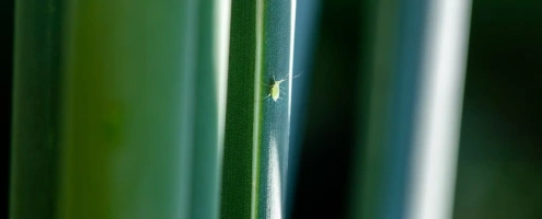 photo 1653125605950 fc9fed378962