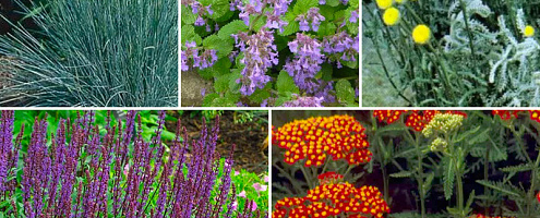 borderpakket droge lage mix