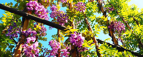 20250501 p5011831(1)