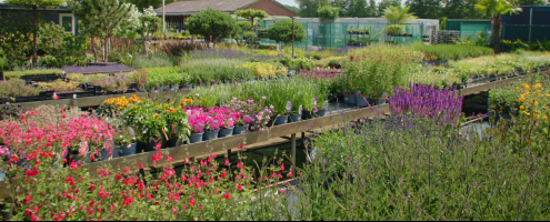 vlcsnap 2025 06 23 15h38m41s731