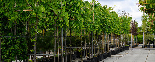 0223 lilian fotografie planta de bilt fotoshoot 20220513