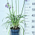 Pot 3 liter