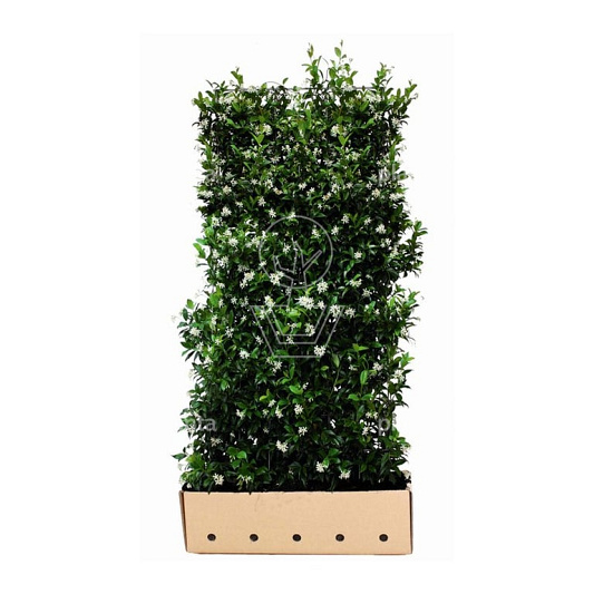 Quick Hedge Haagelement 100cm lang x 180cm hoog