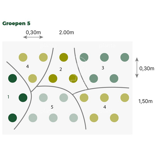 24 planten voor ongeveer 3 m2