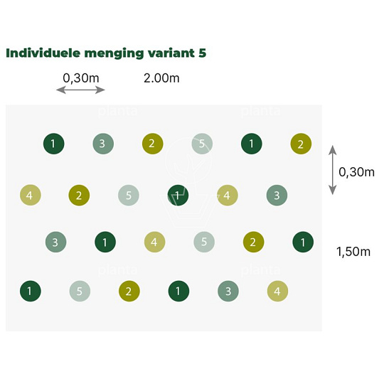 24 planten voor ongeveer 3 m2