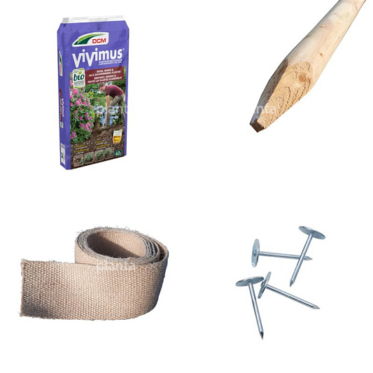 Aanplantpakket halfstamboom (zuur) gewolmaniseerde palen