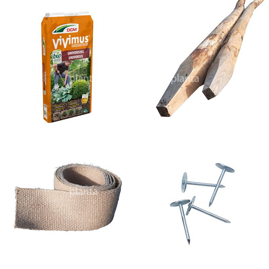 Aanplantpakket (universeel) kastanjehouten boompalen
