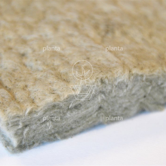 Sempergreen, per vierkante meter