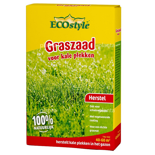 1 kilogram