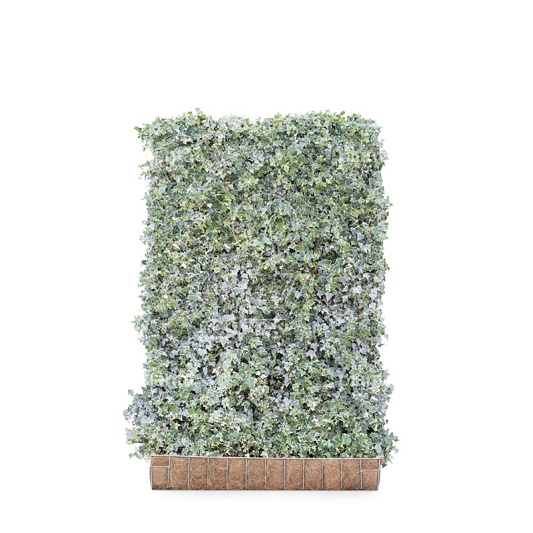 Mobilane kant en klaar haag, LxH 120x180cm, cocopeat 'pot'