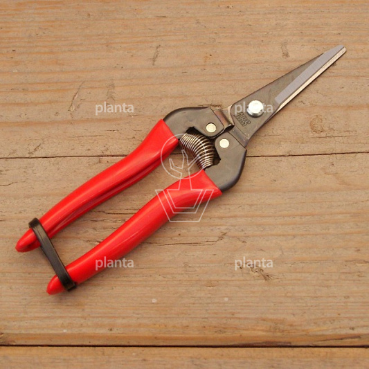 ARS Fruitschaar 300LR