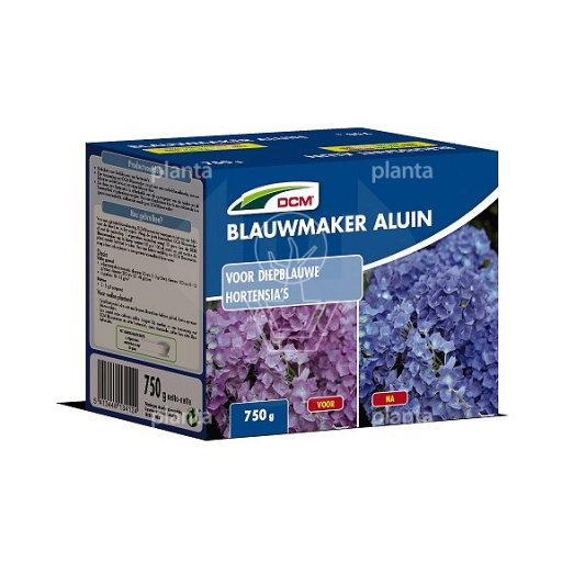 DCM Hortensia Blauwmaker