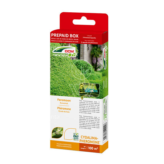 DCM Naturapy Cydalima-Pheromone