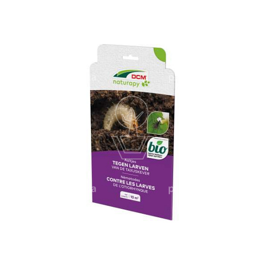 DCM Naturapy Kraussi-Guard