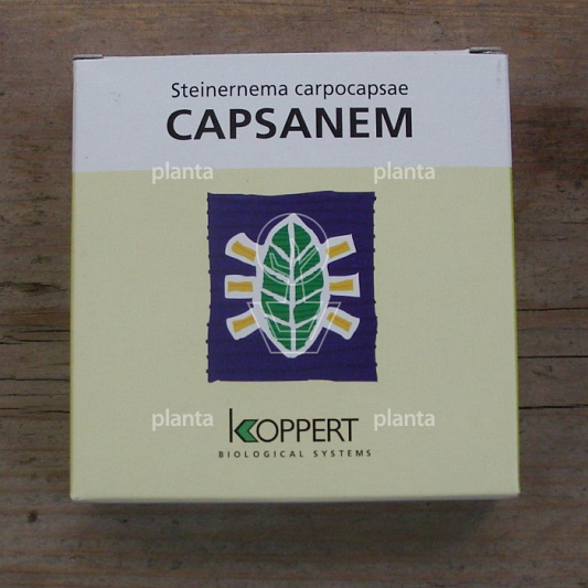 Koppert Capsanem