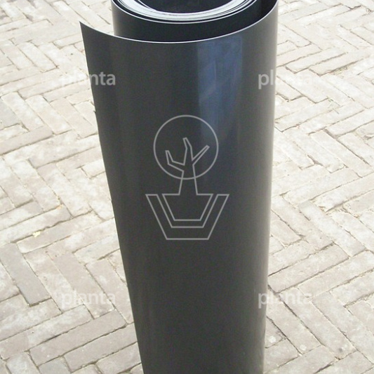 Wortelscherm
