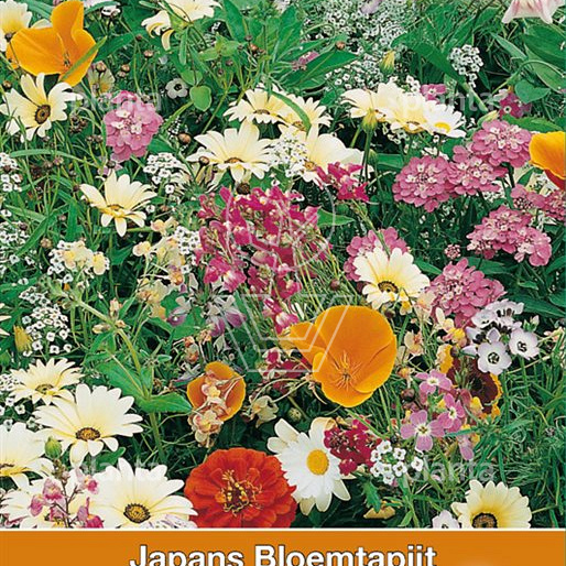 Japans Bloementapijt Osaka